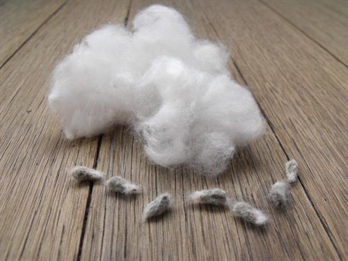 Cotton Fibre